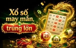 Xổ Số damaig8k